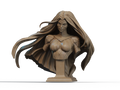 Medusa Bust_ 3D Print