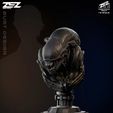 Xenomorph Bust – 3D Digital STL File