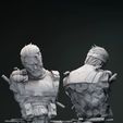 The Punisher Bust - STL
