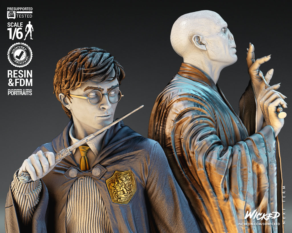 Harry Potter and Voldemort Diorama - Wicked 3D