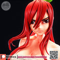 ERZA SCARLET - FAIRY TAIL SFW