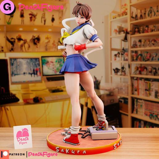 Sakura Street Fighter